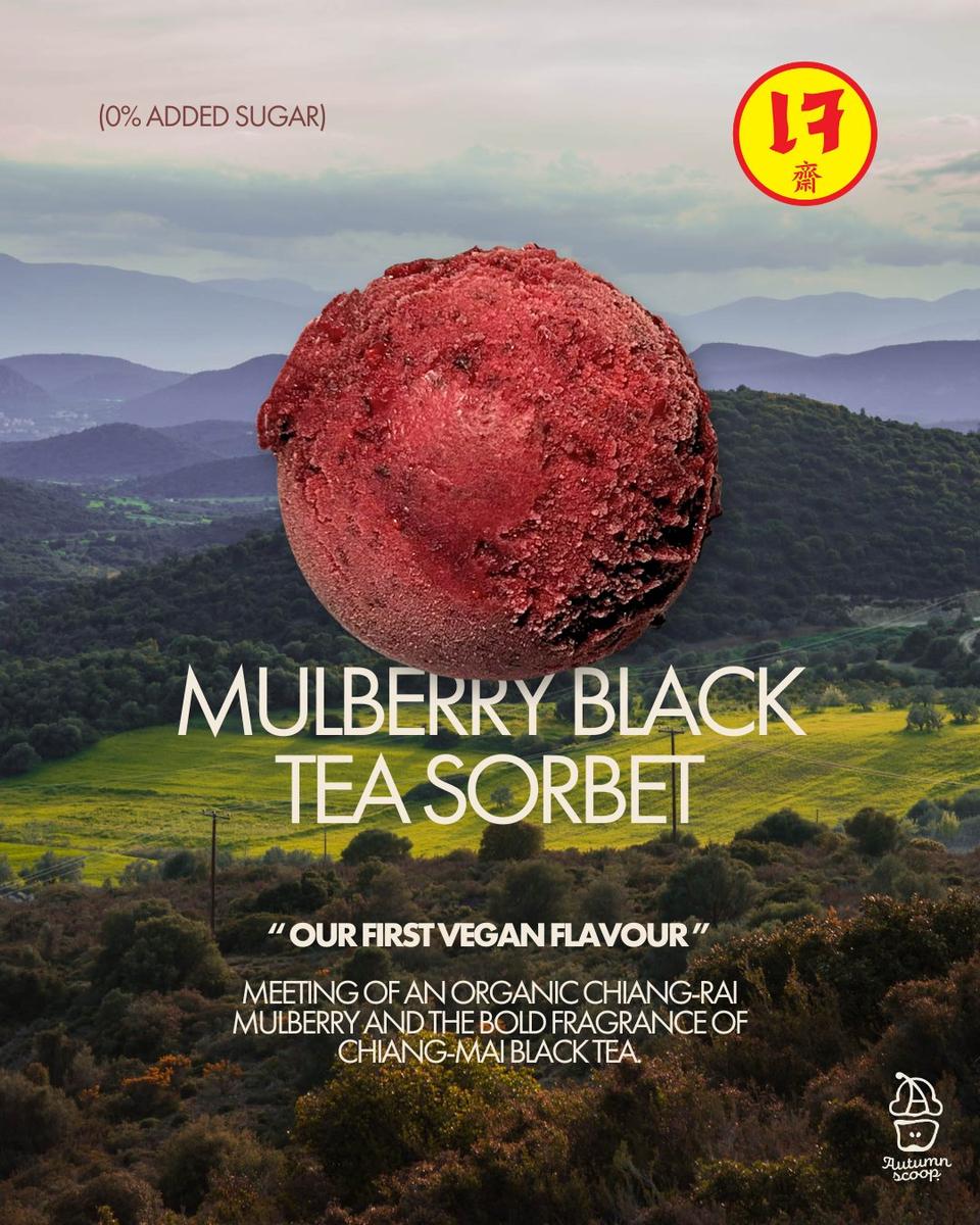 Mulberry ice cream