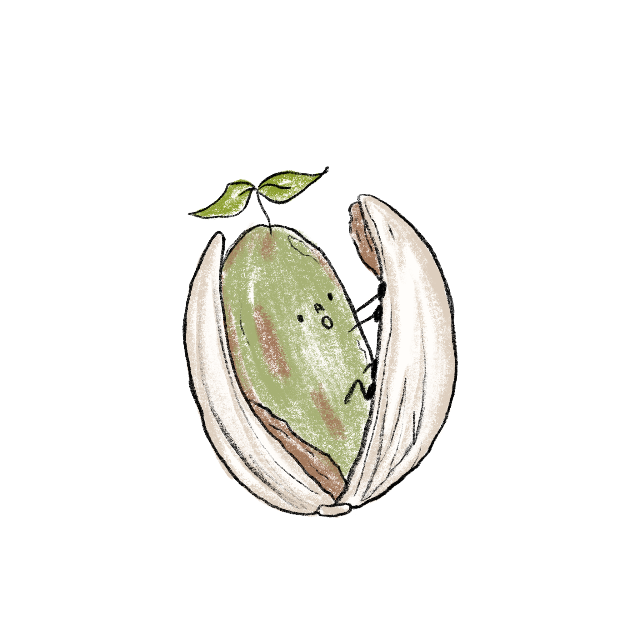 Pisnocchio