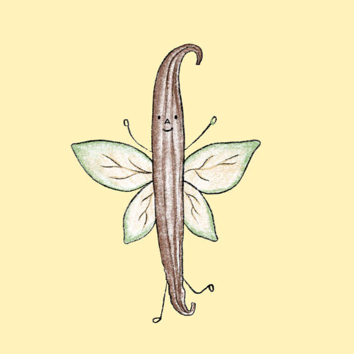 Vanilla